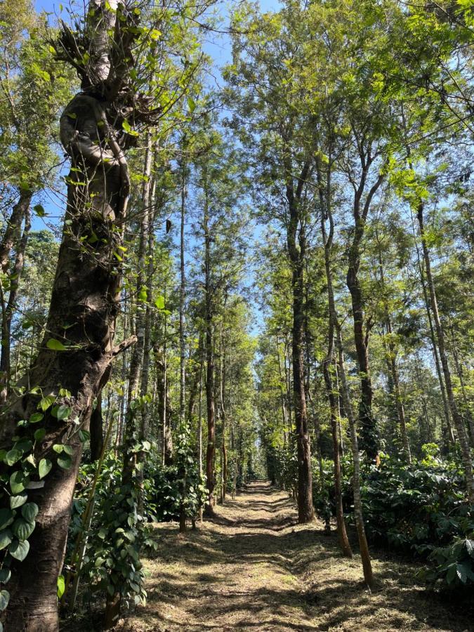 Robin Woods Homestay Sakleshpur Exterior foto